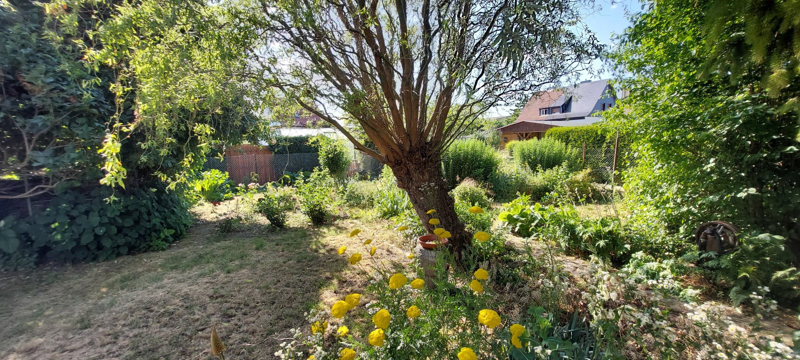 Gepflegtes Einfamilienhaus mit Nebengelass im Sülzetal
