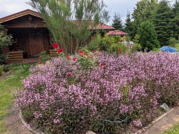 Arendsee/Genzien - ob Ferien- oder Seniorenwohnanlage - auf jeden Fall lohnend