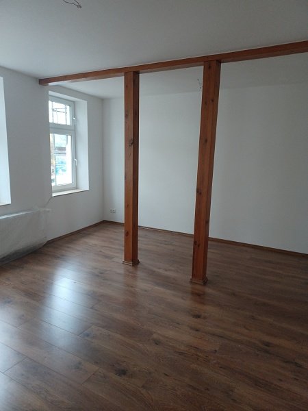 Alt Frohse - Sanierte 2-Raumwhg. in sehr guter Wohnlage