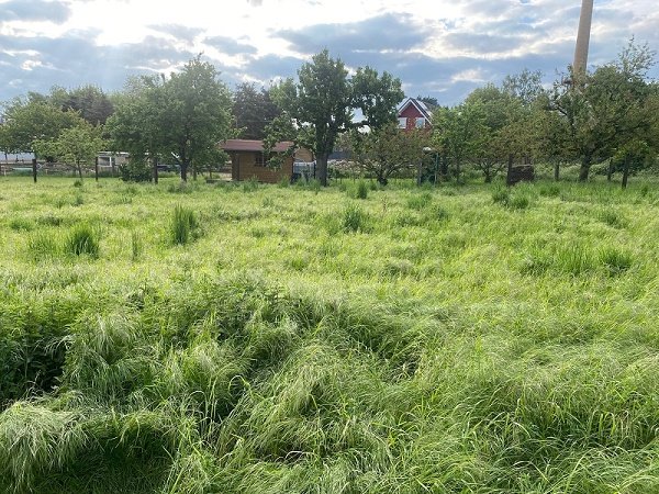 Tolles Grundstück zur Bebauung in Gutenswegen