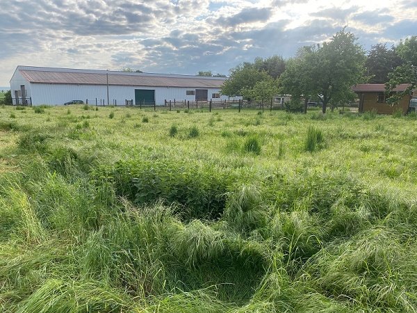 Tolles Grundstück zur Bebauung in Gutenswegen