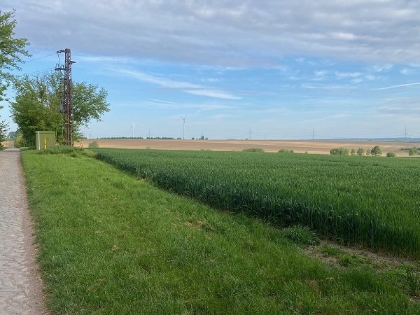 Tolles Grundstück zur Bebauung in Gutenswegen
