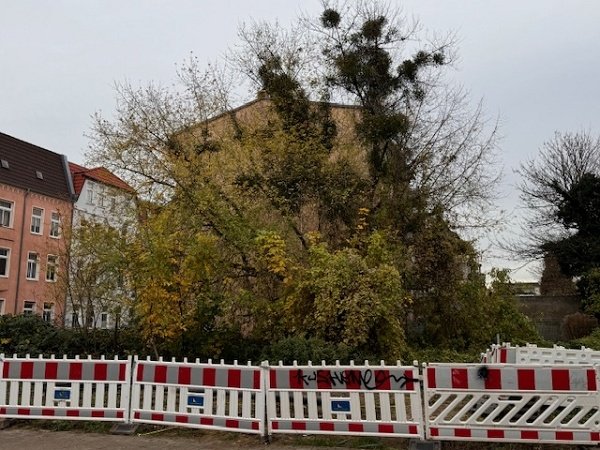 Tolles Grundst&#xfc;ck in Stadtfeld-West wartet auf Bauger&#xe4;t