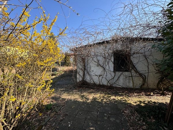 Hübsch und gepflegt - Einfamilienhaus in Magdeburg