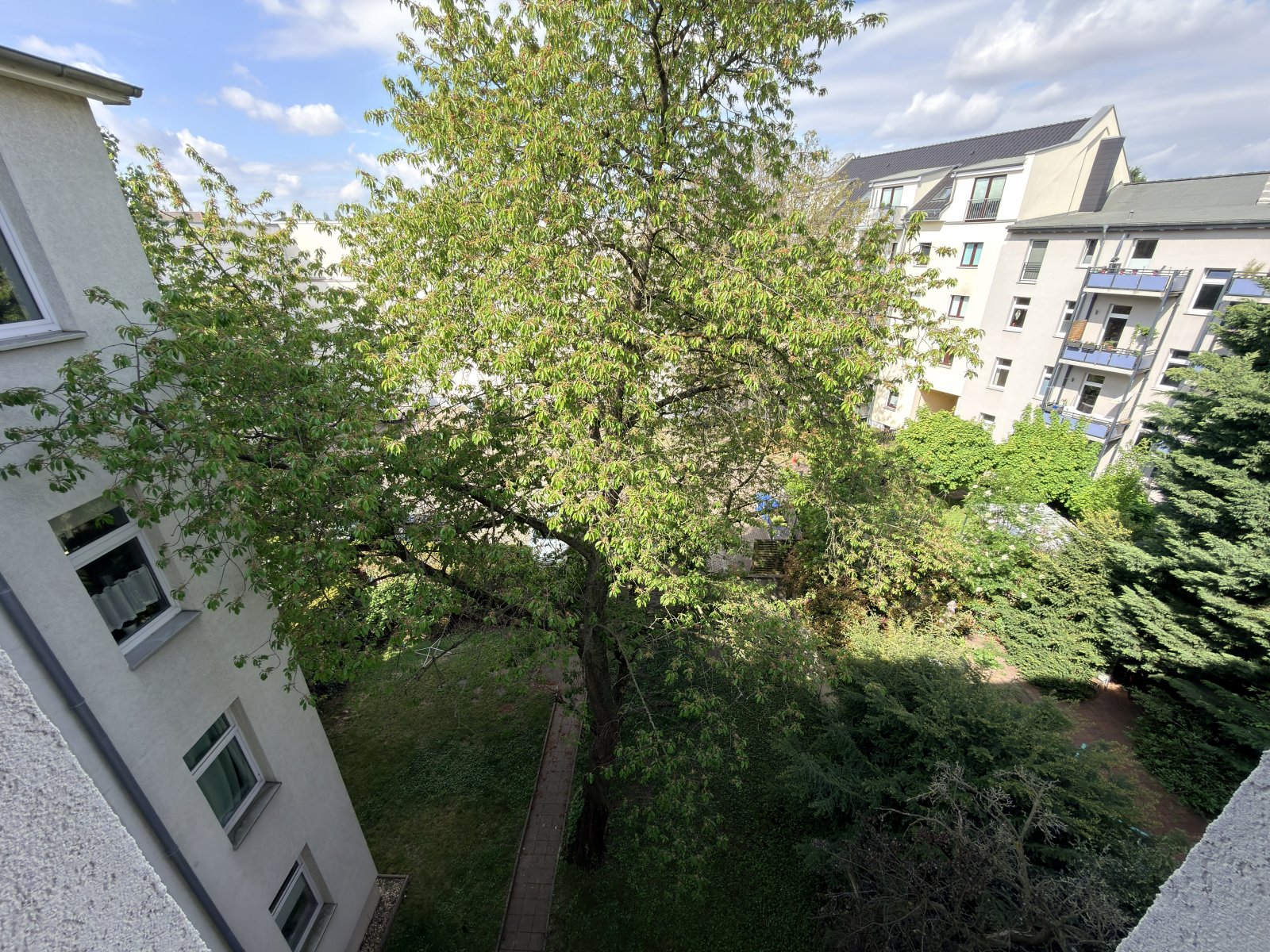 Superschöne DG-Wohnung! Über den Dächern von Stadtfeld und Top-Anbindung mit Kiez-Flair!