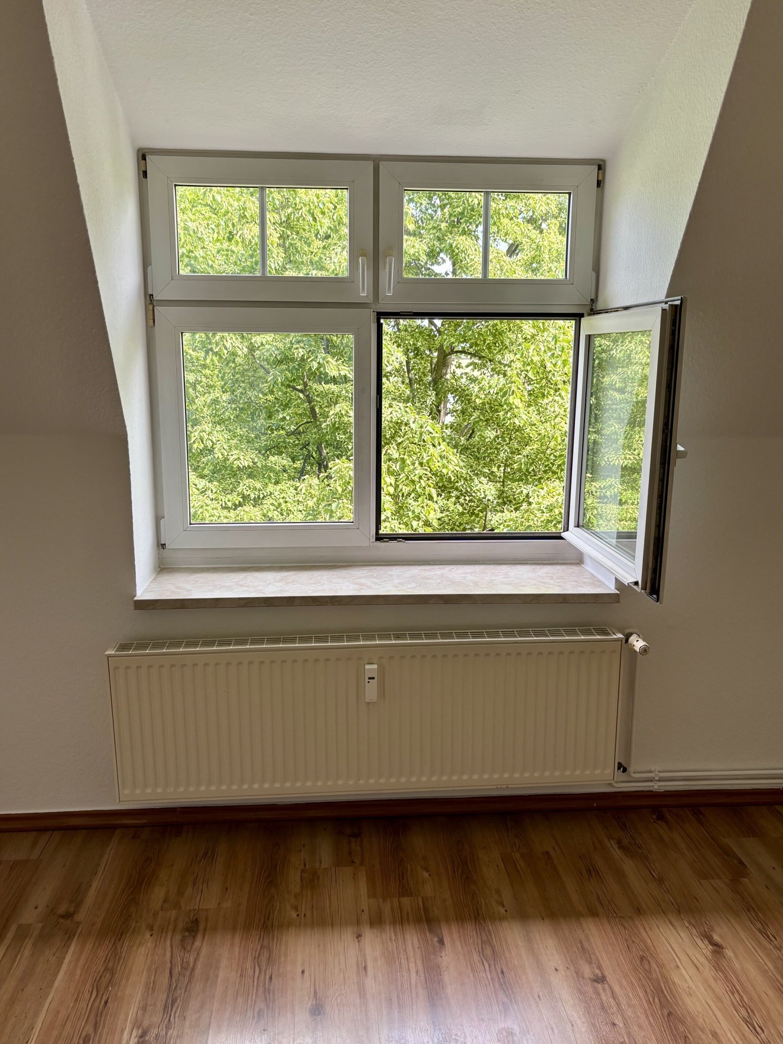 Stylische DG-Wohnung! Über den Dächern von Stadtfeld und Top-Anbindung mit Kiez-Flair!