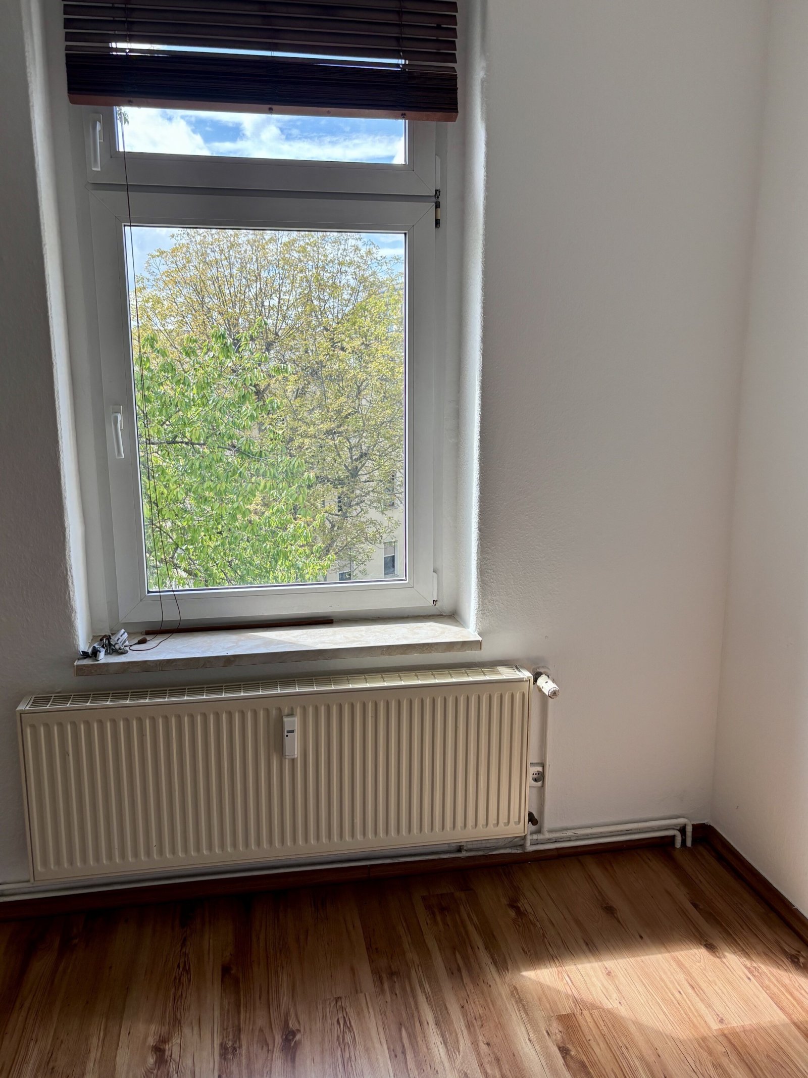 Stylische DG-Wohnung! Über den Dächern von Stadtfeld und Top-Anbindung mit Kiez-Flair!