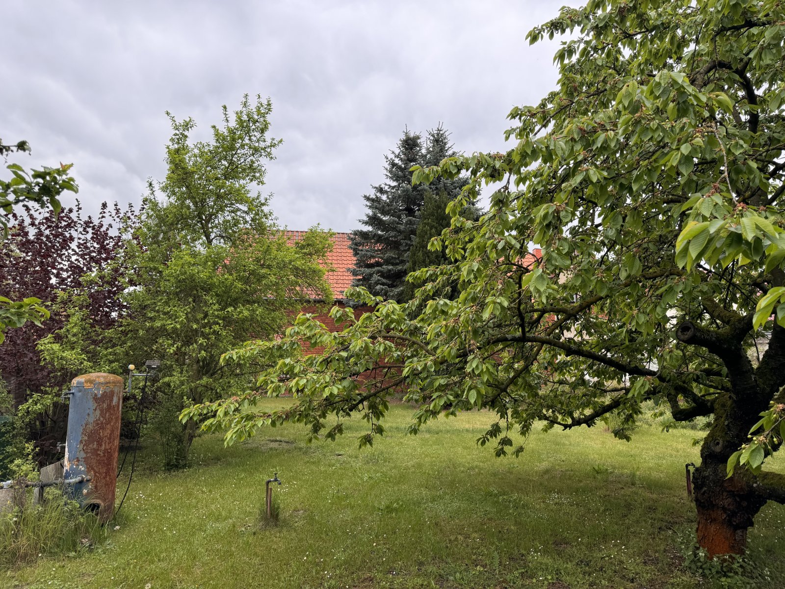 Garten Garten