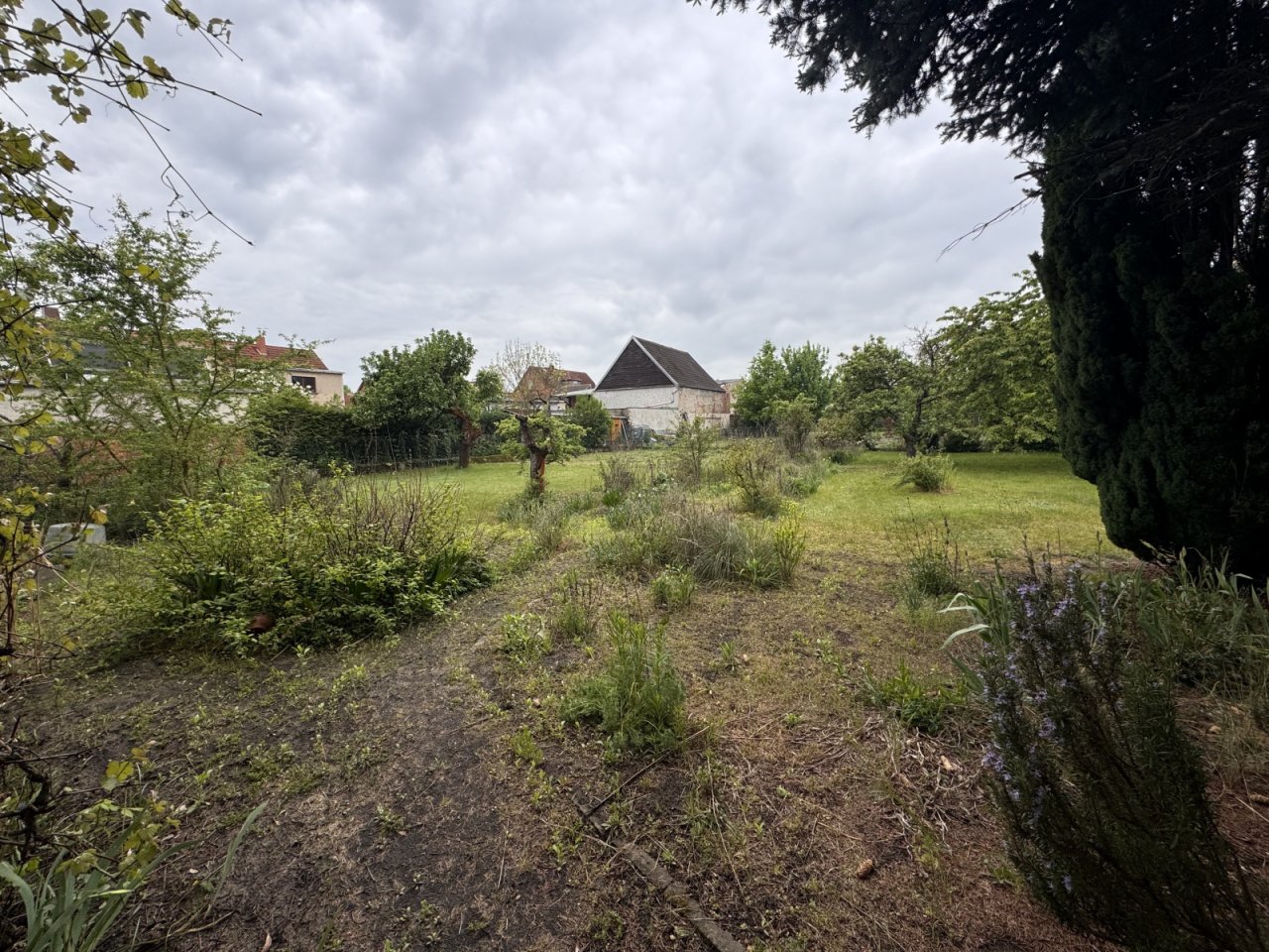 Garten Garten