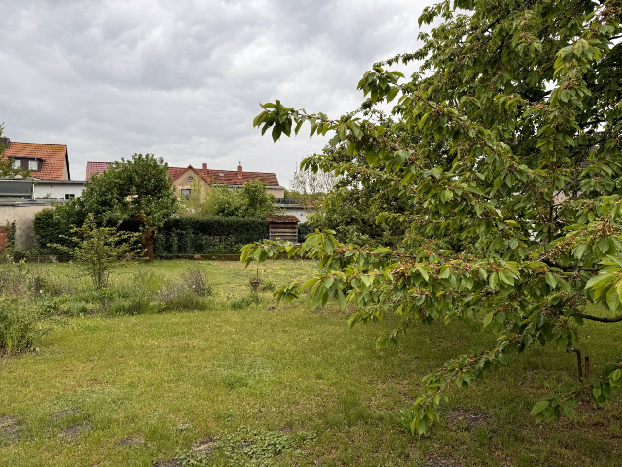 Garten Garten