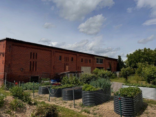Garten Garten