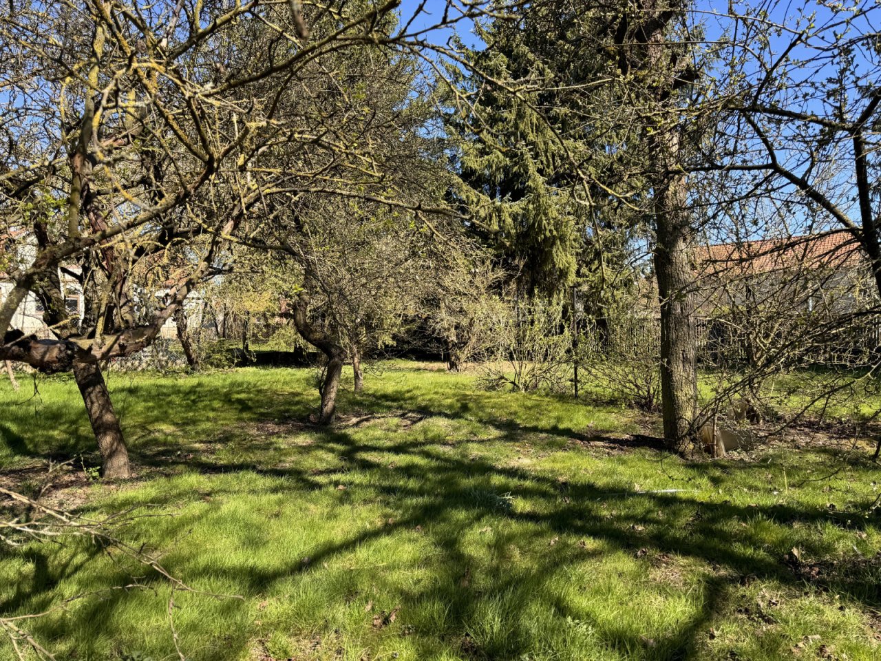 Garten Garten