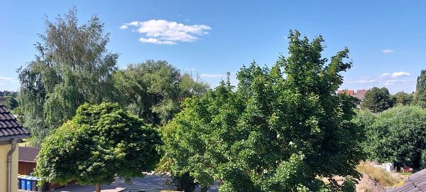 Aussicht vom Balkon Aussicht vom Balkon