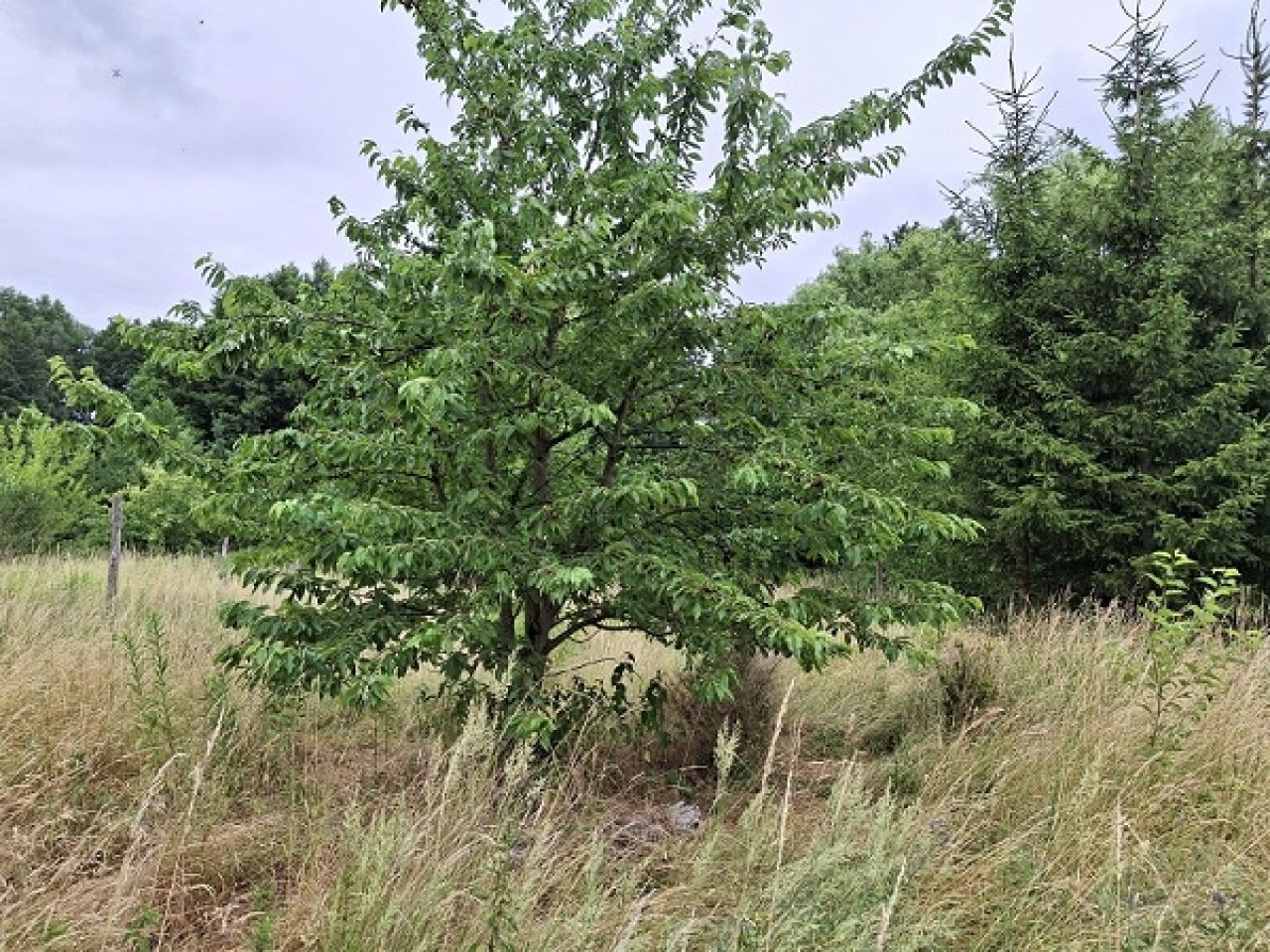 Ansicht 9 Ansicht 9
