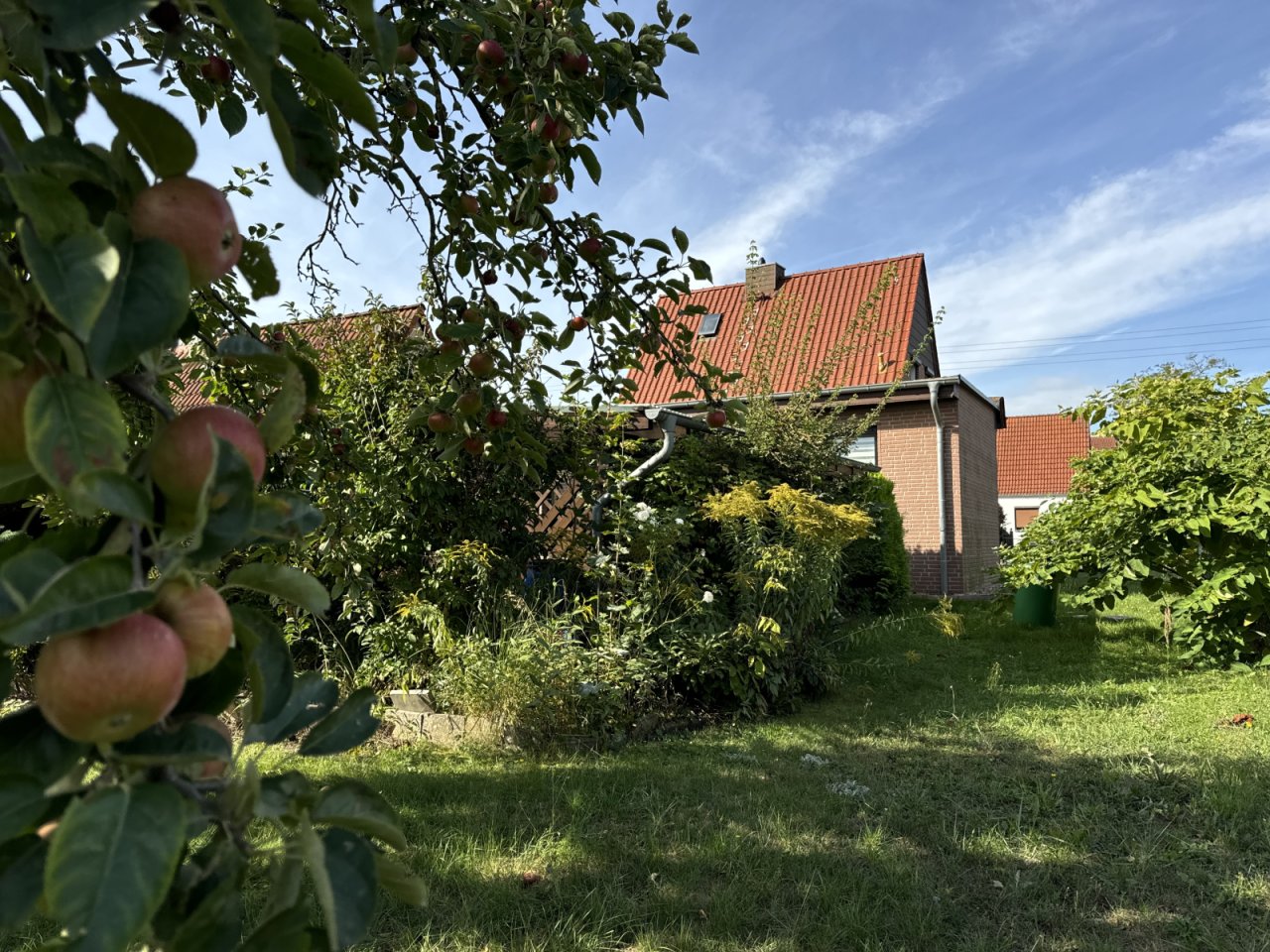 Garten Garten