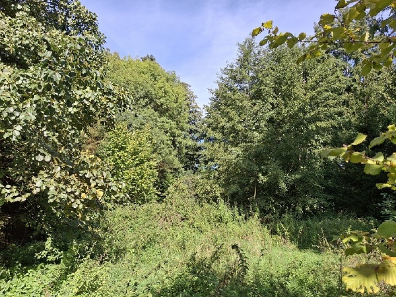 Ansicht 14 Ansicht 14